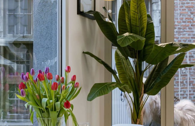 Apartment Katelijne in Centre of Antwerp - Photo 15