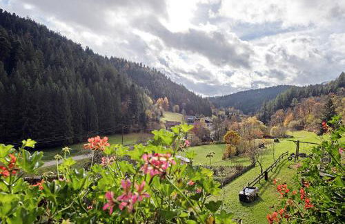 Ferienwohnungen Vogt's Libding - Photo 11