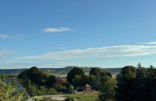 Weinbergblick Laucha Unstrut - Foto 9