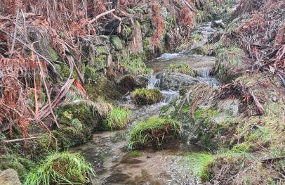 Casa Beira Rio - Foto 17