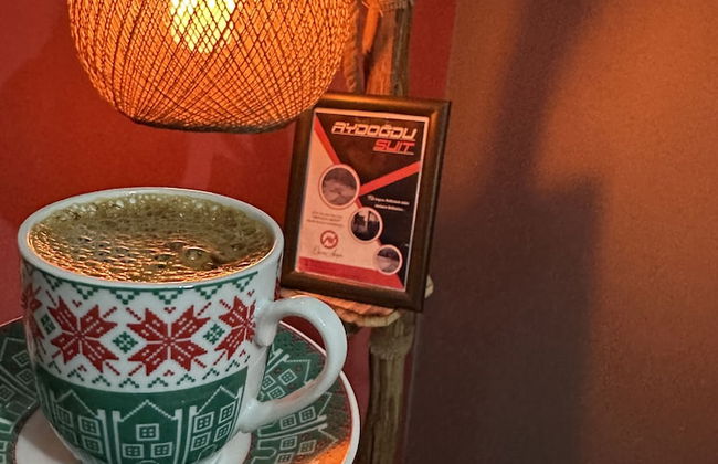 Aydogdu Suit - Photo 5