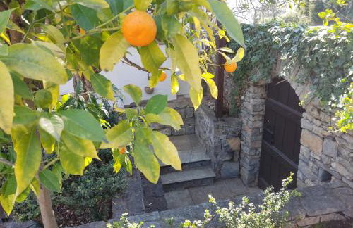 Lito's dream villa by the sea! - Photo 42