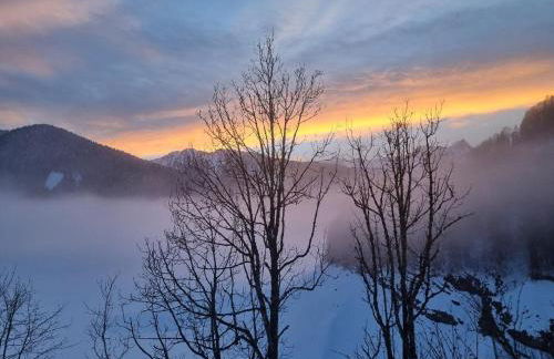 NS SUITE SAURIS - Foto 10