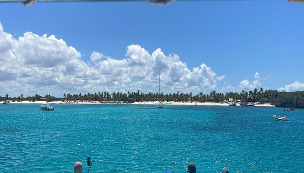 Snorkeling adventure at Catalina Island Juan - Full-Day Tour - Foto 5