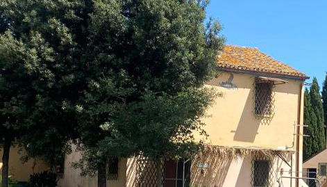 Adamasseria - Foto 2