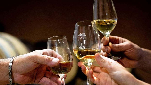 Profitez d'une dégustation de vins savoyards