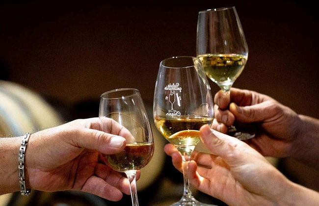 Balade en segway dans Chignin + dégustation de vins - Photo 4