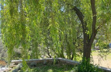 LUVA d'Azur, Rez de villa LE RIOU - LE VALLON - Foto 70