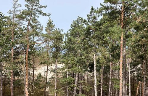 Rogowo Shellter Apartament Premium przy plaży - Foto 46