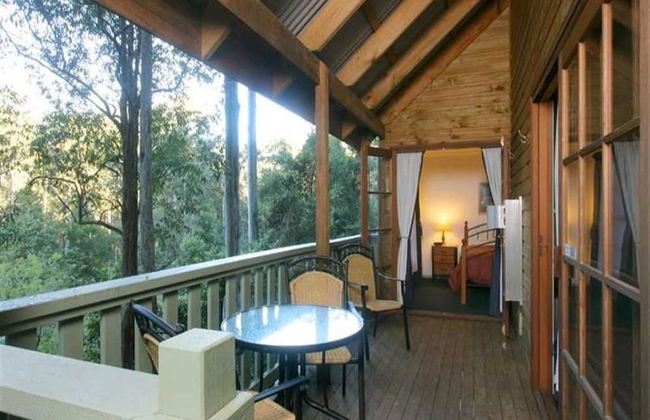 Barrington Wilderness Cedar Lodge Accommodation - Foto 10