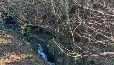 Little Haven Houses Lousada - Foto 3