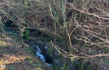 Little Haven Houses Lousada - Foto 3