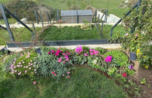 ballota 21 - Foto 12