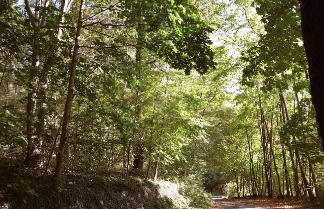 Luxuriose Ferienwohnung in Bad Pyrmont - Foto 32