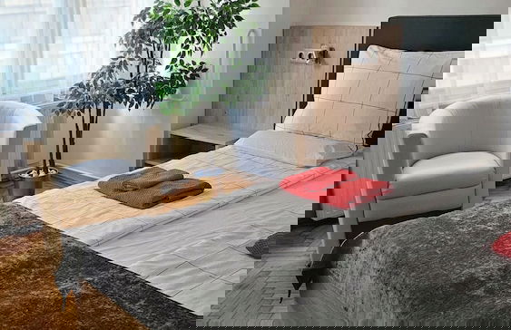 Paprika Apartment Studio - Foto 9