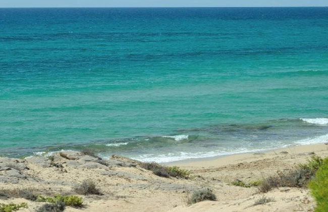 Farm Near the Beautiful Ionian Sea, in the Beautiful Salento - Foto 27