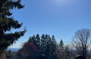 Relaxing Catskill Escape- Mountain Views - Hot Tub - Fire Pit - Heated Pool - Foto 31