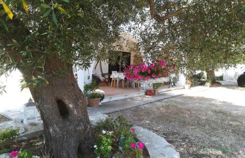 Trullo Alessandro e Villa Raffaela - Foto 42