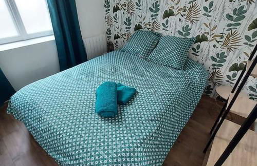 Joli appartement F2 hyper centre - Foto 6