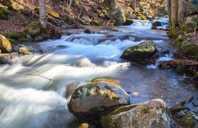 A Love Shack - Foto 1