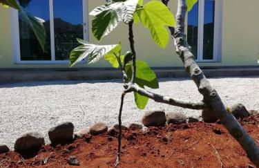 La casa dei fichi - Foto 1