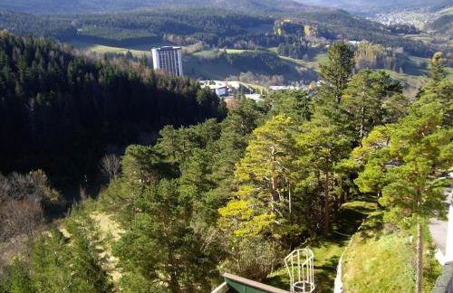 Grand Studio VILLARD DE LANS Les Glovettes - Foto 24