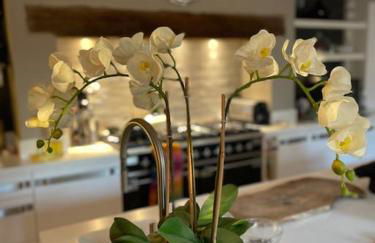 Large 4 bed house in Malmesbury, great for big families - Foto 39