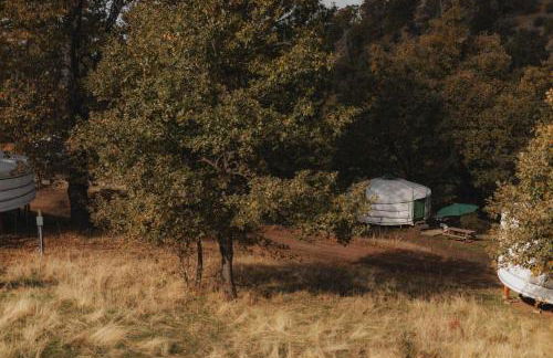 Cosy yurt at a nature retreat in Sequoia N Forest - Foto 36