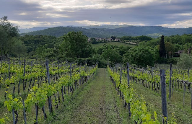 Poggio Cennina Resort - Photo 51