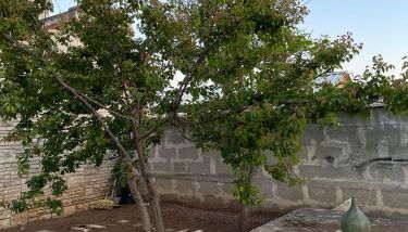 Casa Vacanze Linuccio - Foto 5, Garden