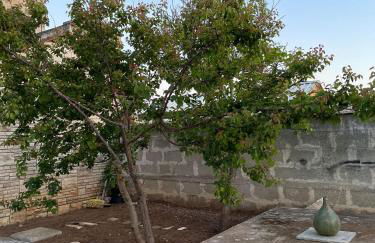 Casa Vacanze Linuccio - Foto 5