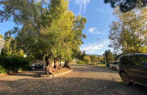 Villetta sul Mare - Foto 79