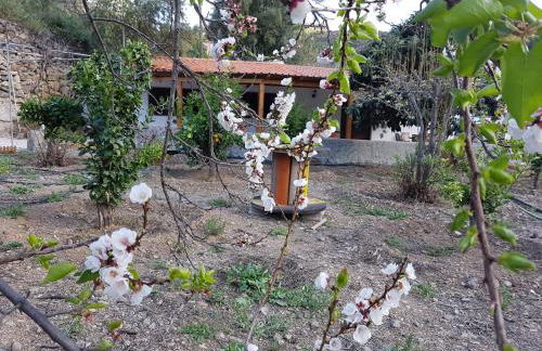 Casa Rural La Hoyita de Tunte - Foto 18