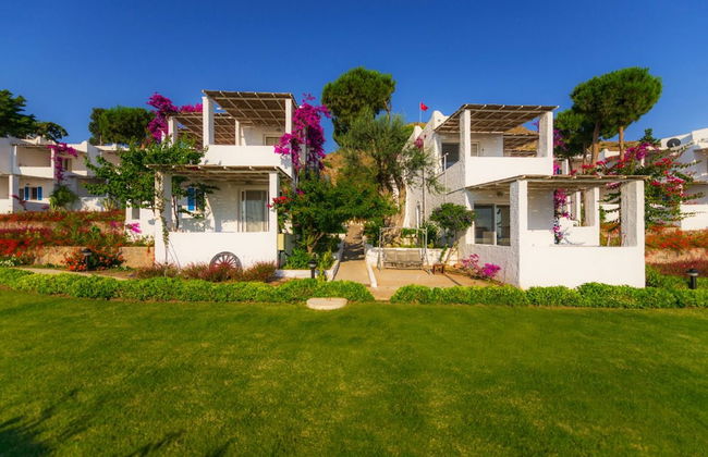 Sunset Mavi - Foto 38