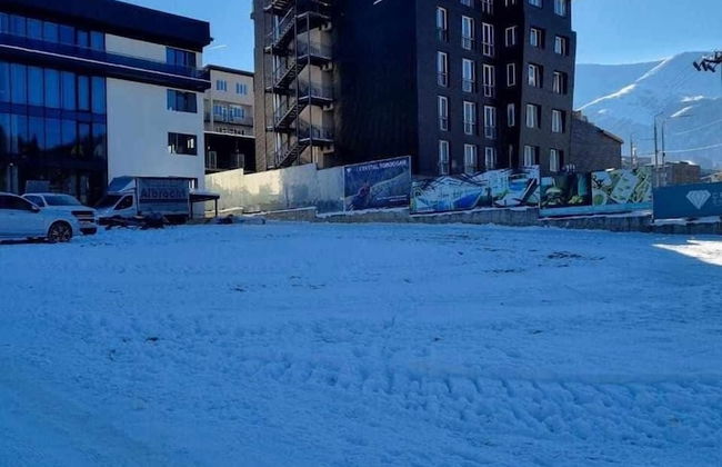 Bakuriani Apartment Studio - Photo 11