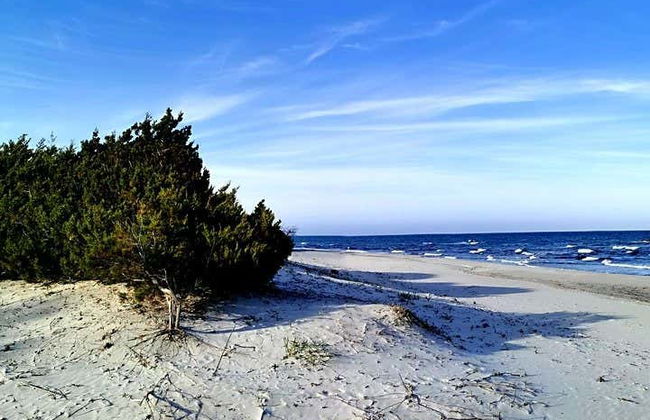 Tour en 4x4 por el golfo de Orosei - Photo 8