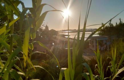 Al Profumo di Zagare - Foto 30