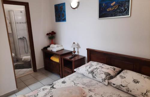 Apartments Zlosilo - Photo 28