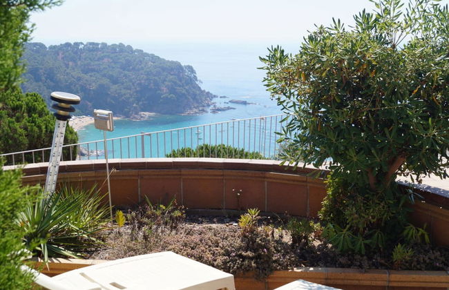 107528 - House in Cala Canyelles - Foto 15