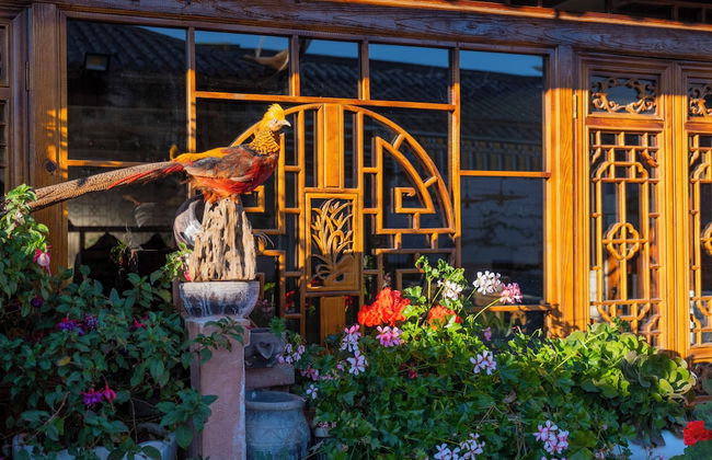 Erquan Inn Ancient city - Foto 36