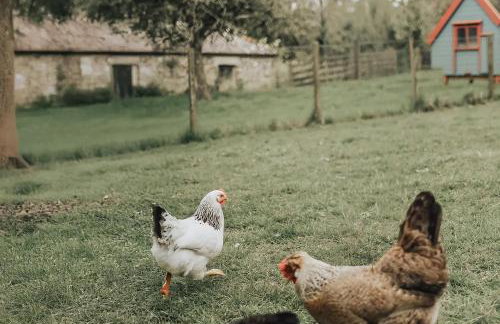 Tredethick Farm Cottages - Foto 23