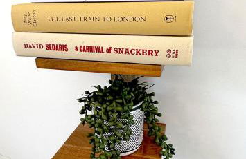 Tiny House Rental in Asheville, NC - The Bat Shack - Foto 36