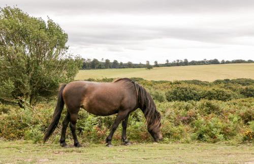 The Stables - Foto 8