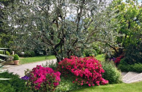 Vittoria Residence - Foto 54