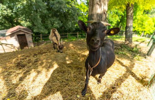 Agriturismo Colle Dei Pivi - Photo 58