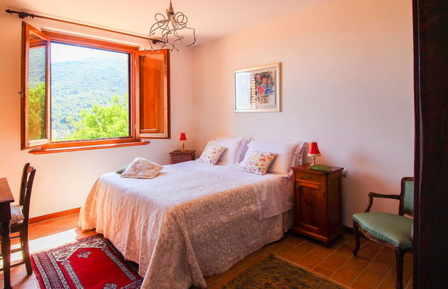 Boschi di Montecalvi - Foto 71