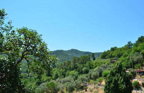 Agriturismo Torsivì - Foto 22