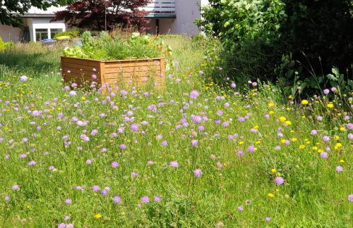 Exklusive Ferienwohnung Bad Salzschlirf - direkt am Waldrand - großer Garten kompett umzäunt - Hunde willkommen - 2 private Stellplätze - Foto 44