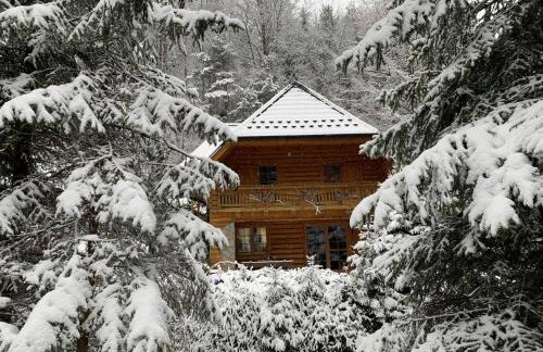 Forest House- dom nad górskim potokiem - Foto 28