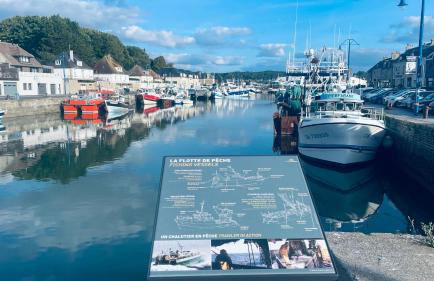 Maison calme et cosy à Port-en-Bessin près du golf et de la mer - Photo 53